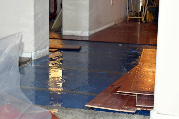 Professional Sewage Cleanup technician working in Lawndale, NC